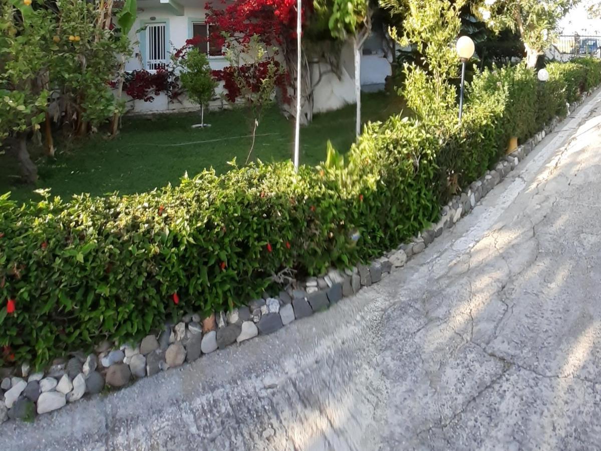 Zikas Apartments Marmari  Exterior photo